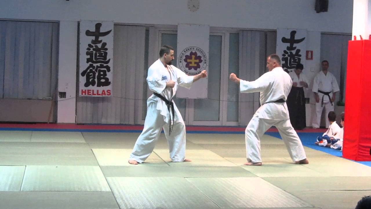 Α.Σ. ΠΗΓΑΣΟΣ SHIDOKAN ΚΑΡΑΤΕ ΒΟΛΟΣ Shihan Λίο Κατσούρας