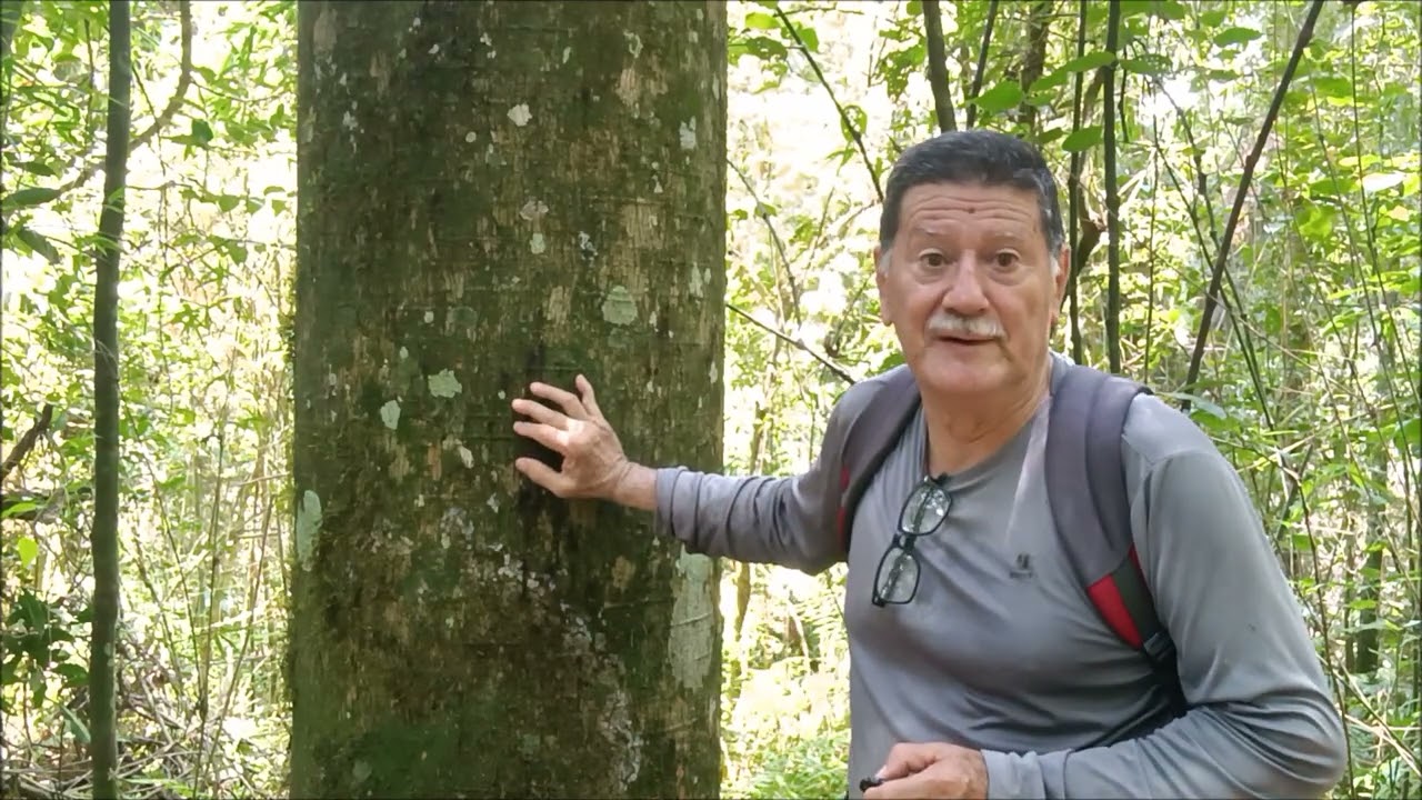 TRILHA CANAFISTULA 07 02 2026 Sdo