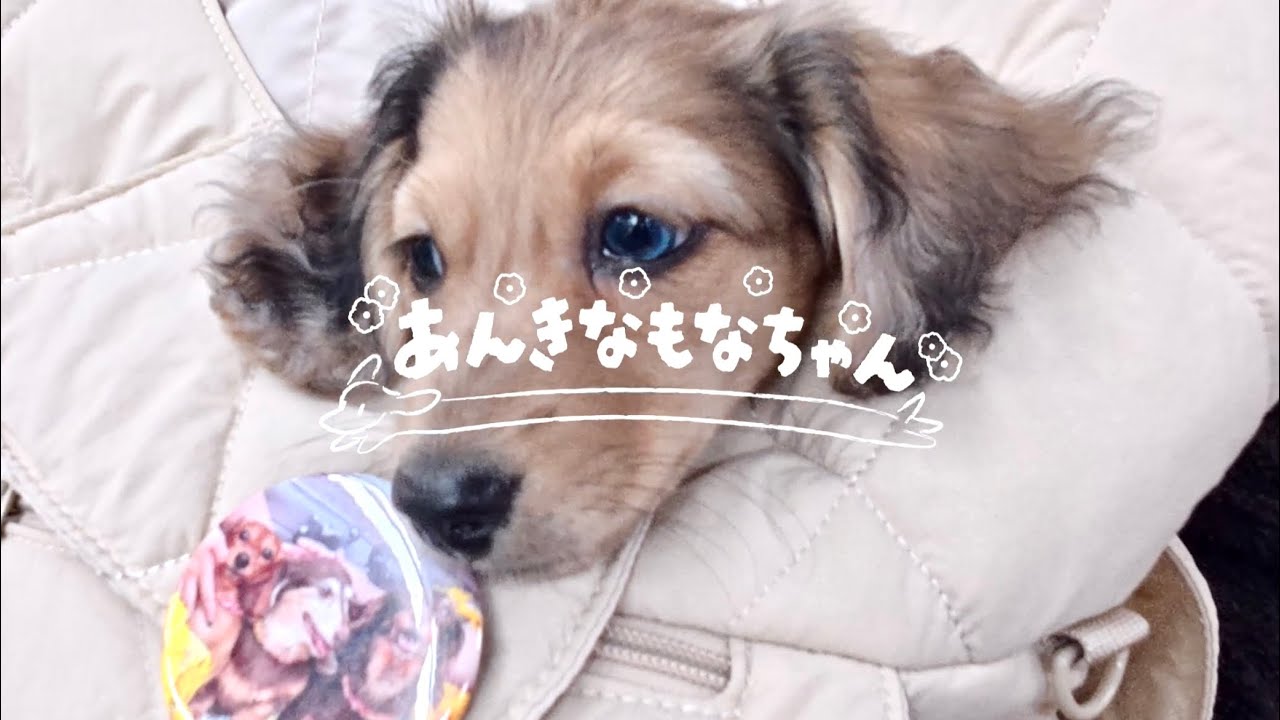 生後２ヶ月のくおんちゃん初めてのお医者さん