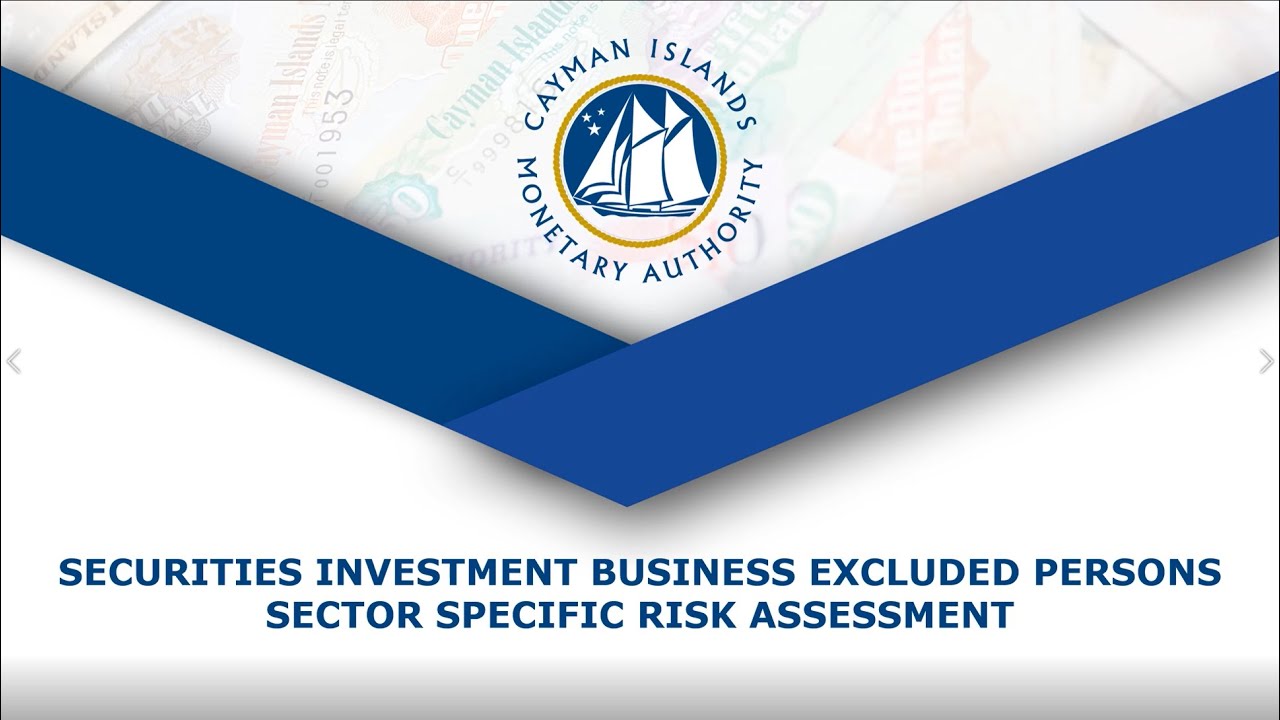 Securities Investments Business Excluded Persons - Sector Specific Risk Assessment