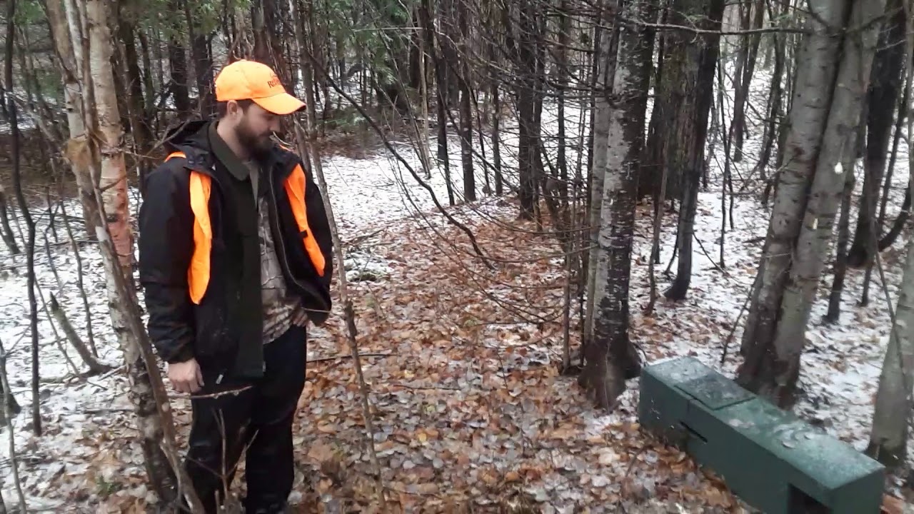 Marten Catch, 160 lynx exclusion device, Maine Trapline