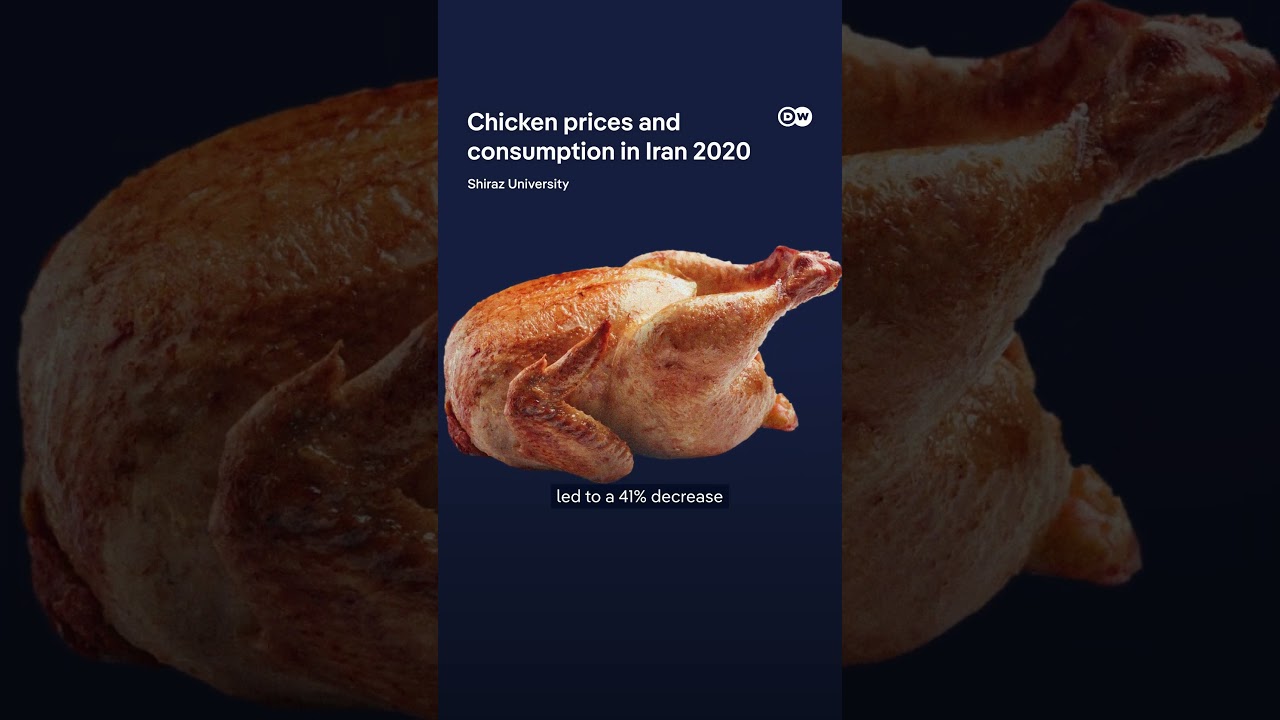 What is the chicken price index? | DW News