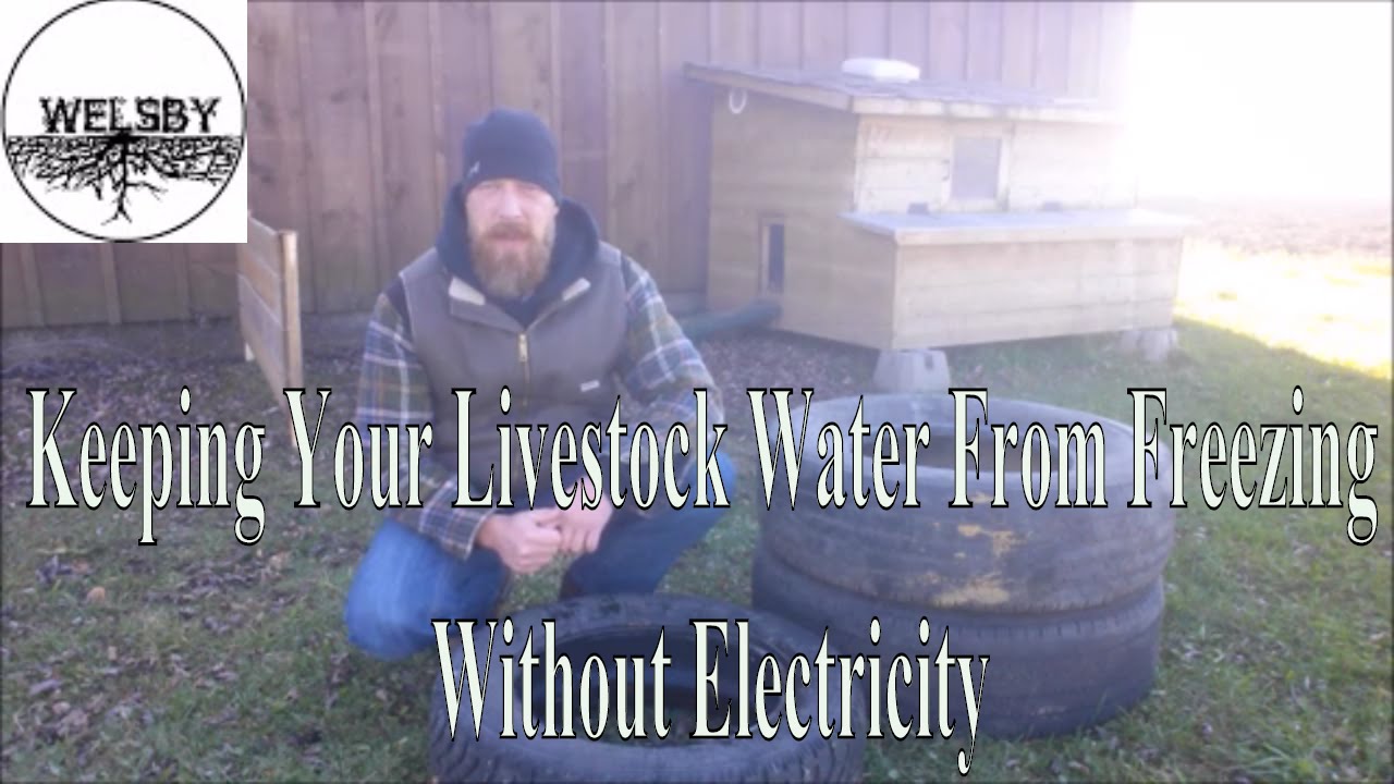 Keeping Your Livestock Water From Freezing Without Electricity 2 0