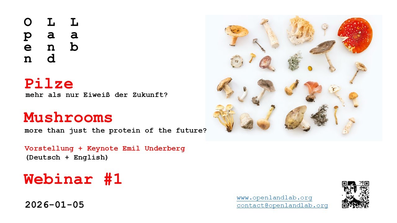 Pilze - Mushrooms Webinar#1 Vorstellung + Keynote