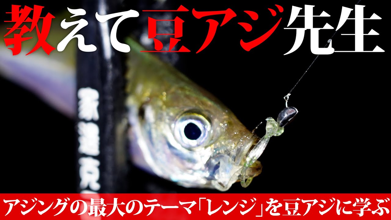 教えて豆アジ先生／アジングの最大のテーマ「レンジ」を豆アジに学ぶ
