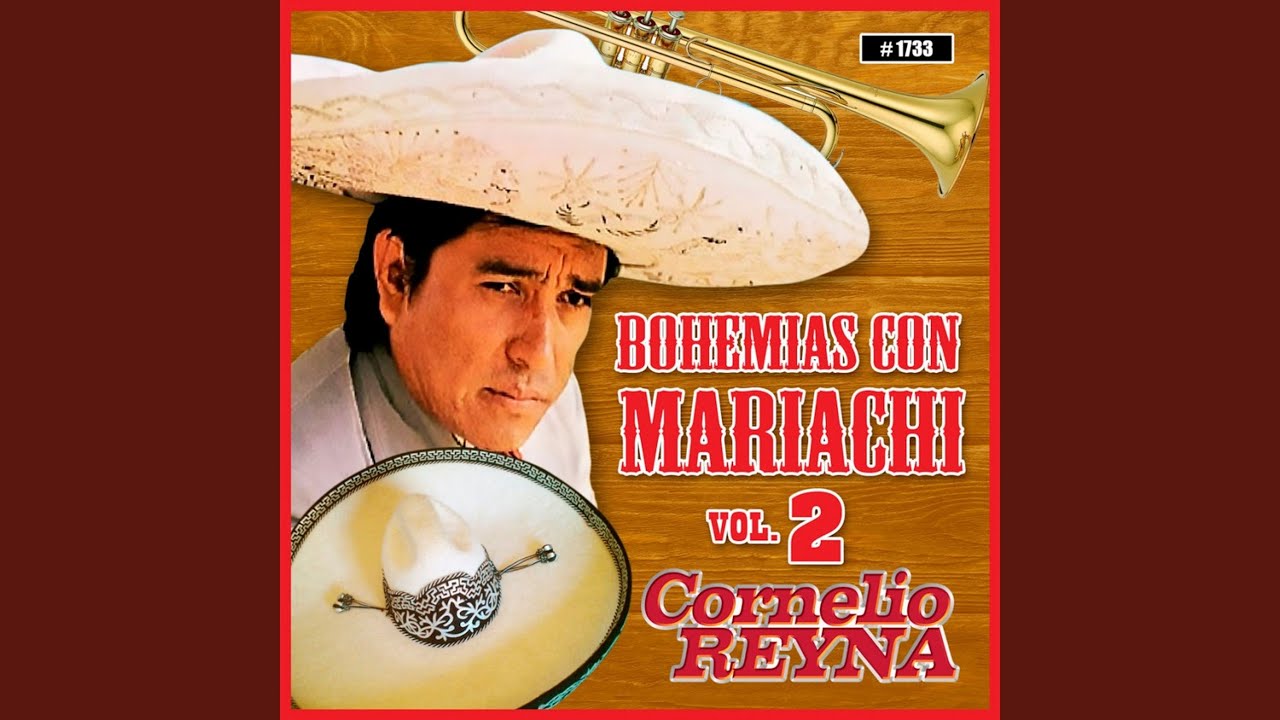 Mis Mejores Años