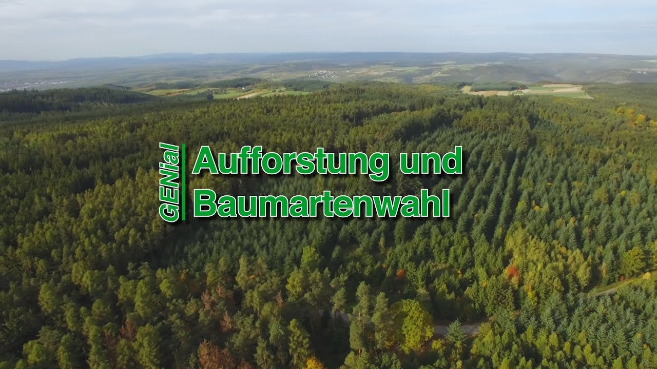 GENial 08 - Aufforstung und Baumartenwahl