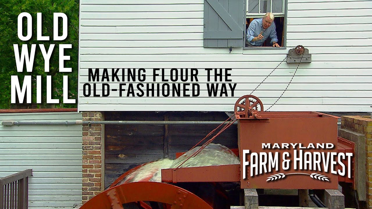 Grinding Flour at a 330 Year-Old Mill | Maryland Farm & Harvest