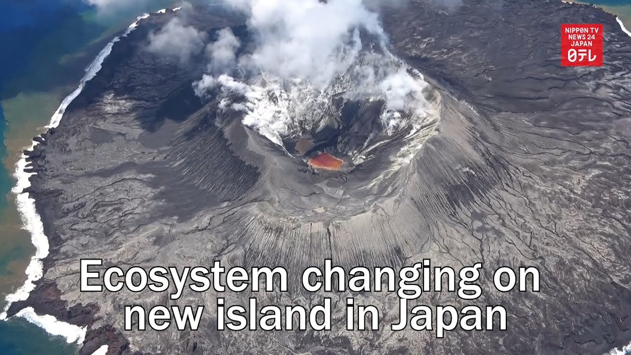 Ecosystem changing on new island in Japan