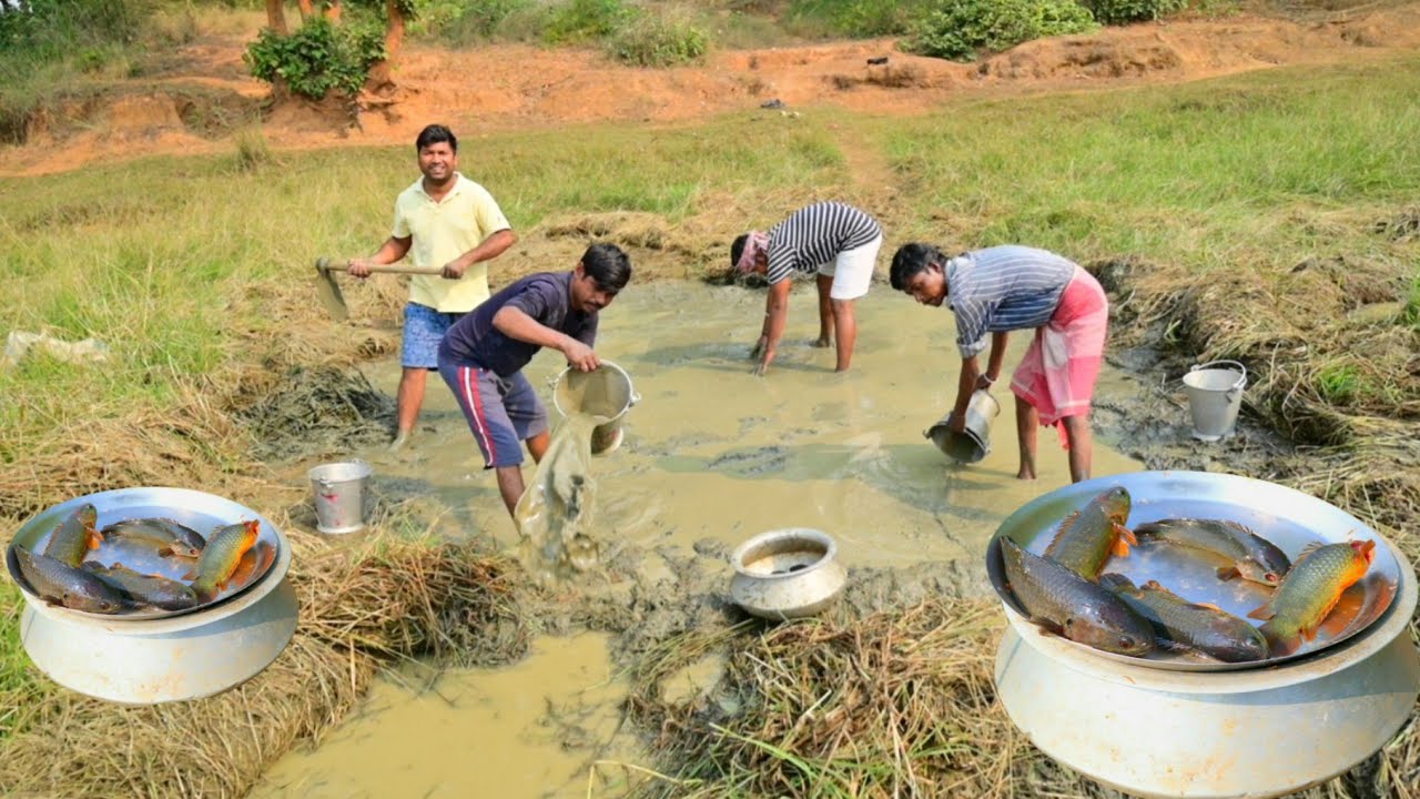 মাঠের ক্যানালে জল সেচ করে মাছ ধরে রান্না করে খেলাম || Best fishing video