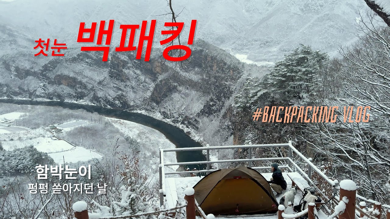 백패킹 브이로그 . 첫눈이 펑펑 오던 날 강아지와 함께 강원도 산 속에서 본격적인 동계 백패킹