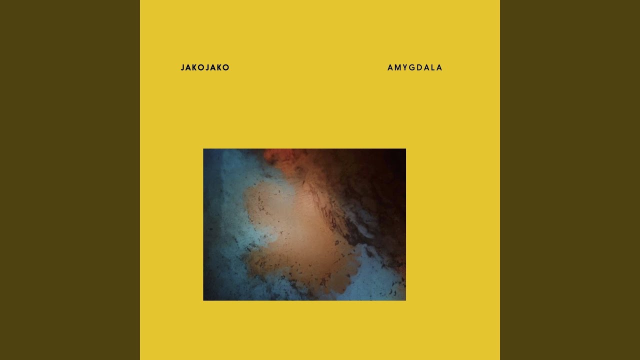 Amygdala