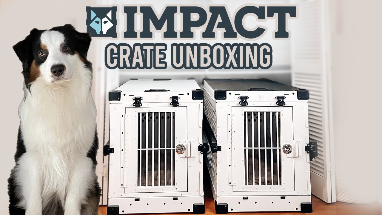 Impact Crate Unboxing | Flambothedog
