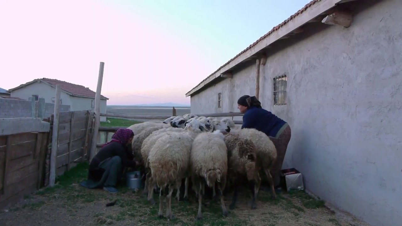 Xalko (Sami Mermer / Hind Benchekroun, Kurdistan, 2018)