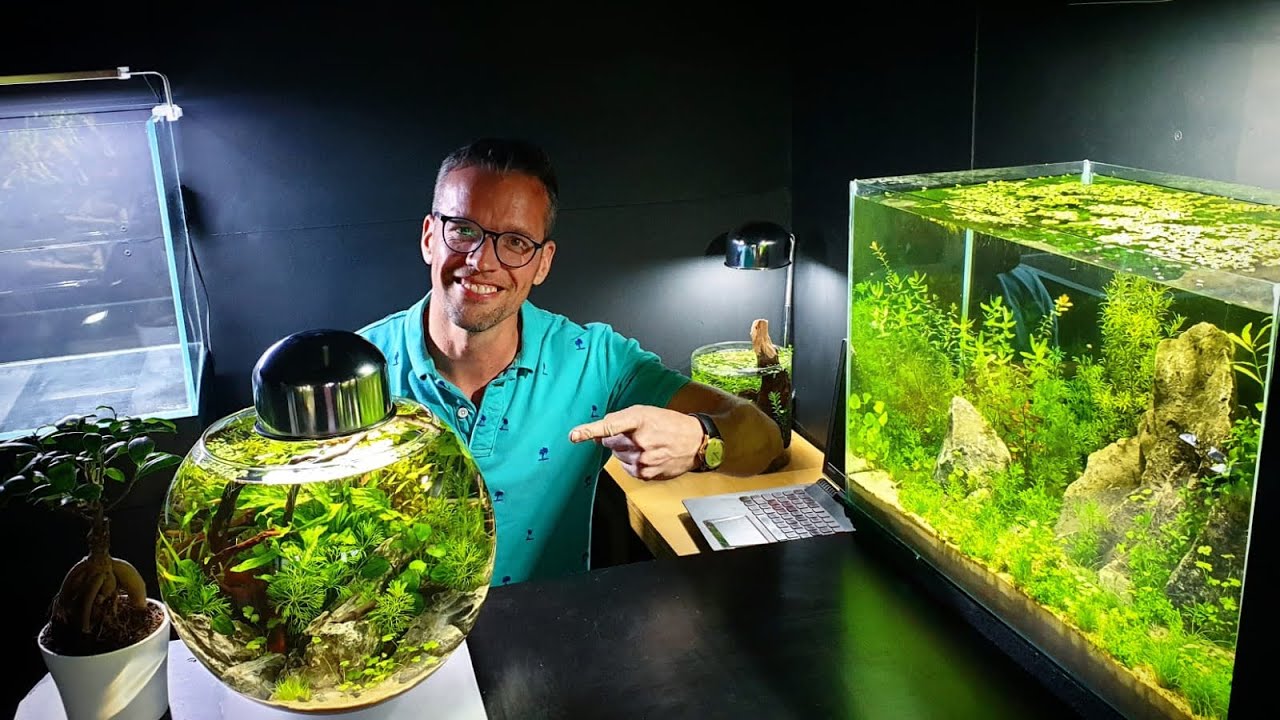 Super Low Tech Aquascape Tour with MD Fish Tanks