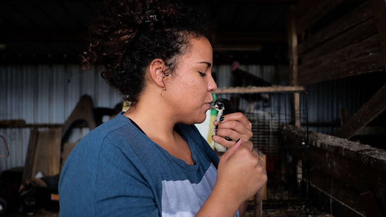 Raising goats and compassion at Simple Sparrow Care Farm