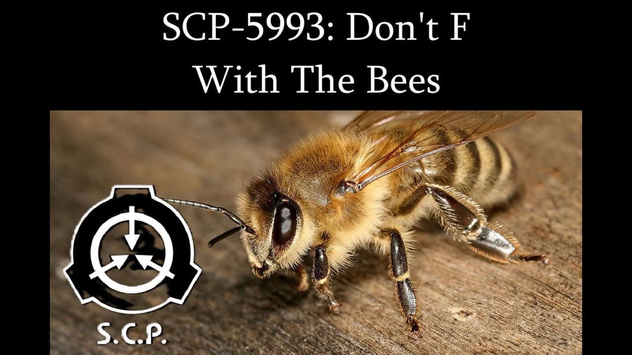 SCP-5993: DON'T F WITH THE BEES | Thaumiel