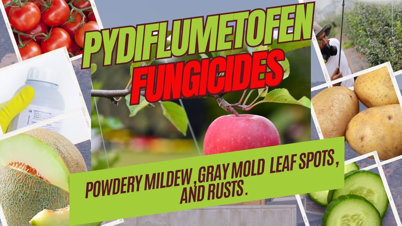 Pydiflumetofen: A New Systemic Fungicide for Crop Protection