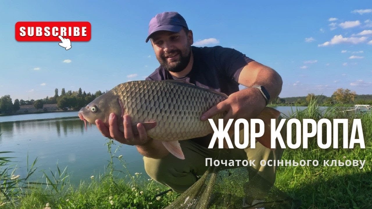 ЖОР КОРОПА - Початок осіннього кльову. Забір'я