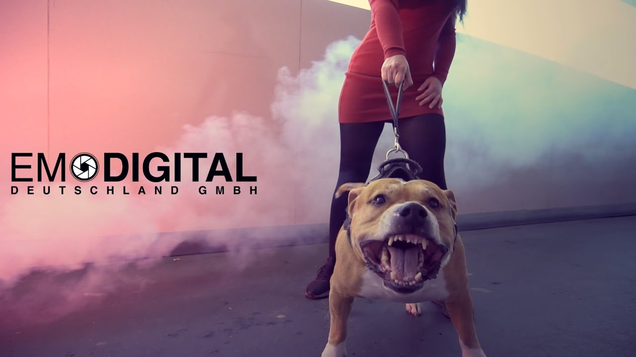Digitale Emotionen SHOWREEL (Filmproduktion)