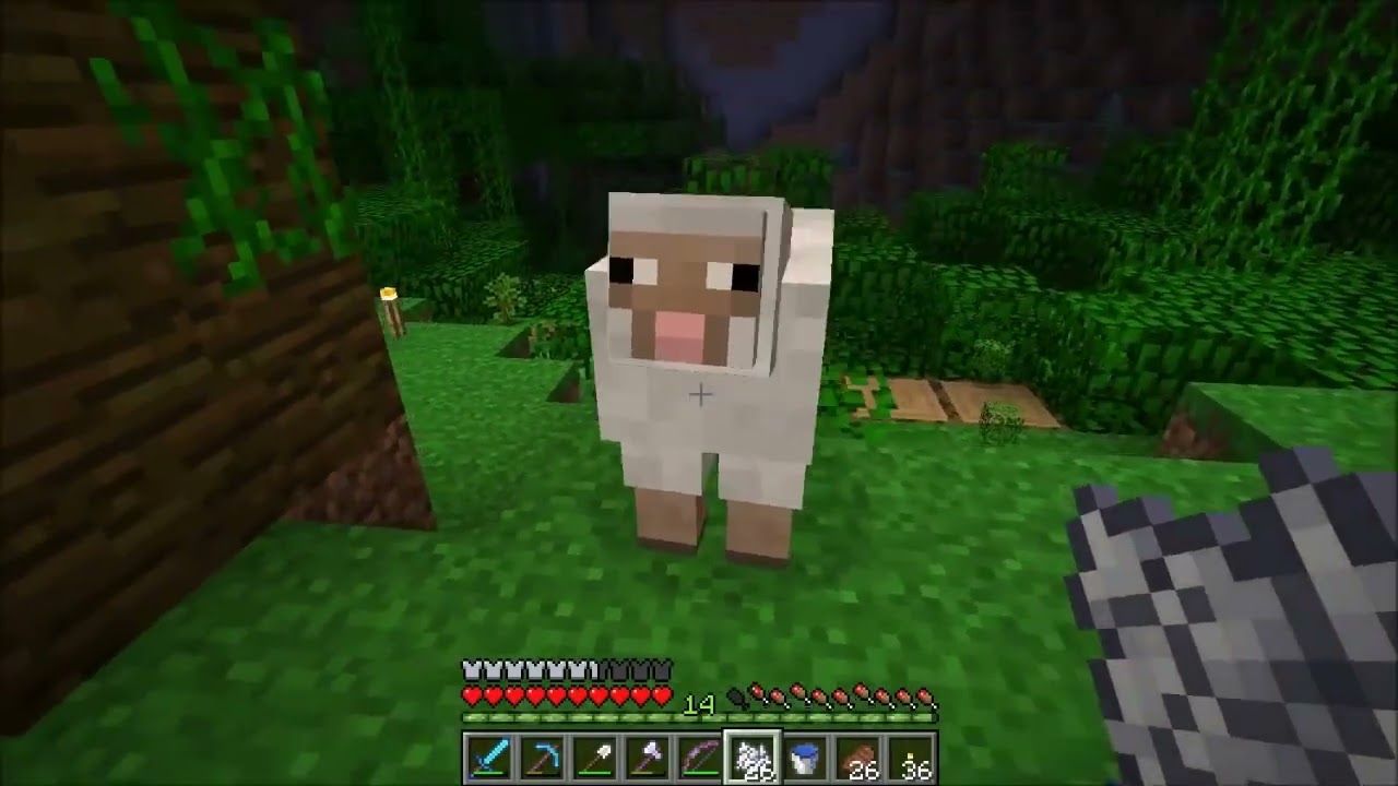Minecraft pro začátečníky (30. díl) Džungle a rozhledna