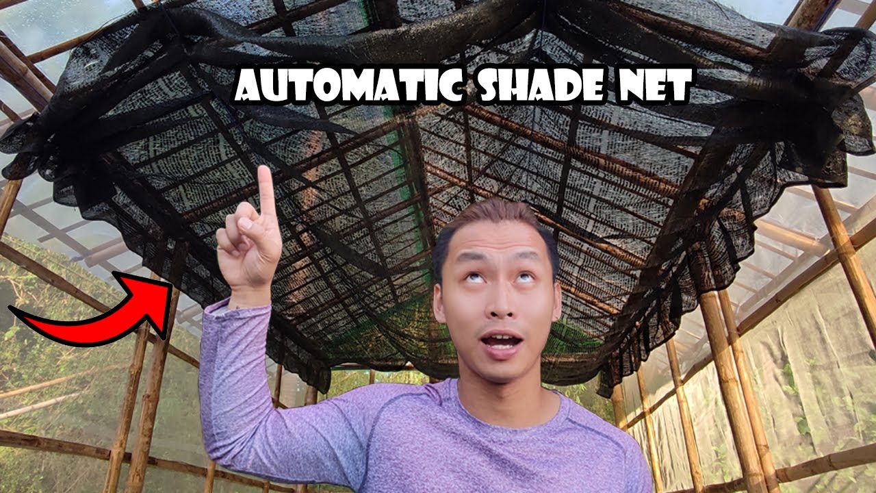 Automatic Shade Net for My Hydroponics