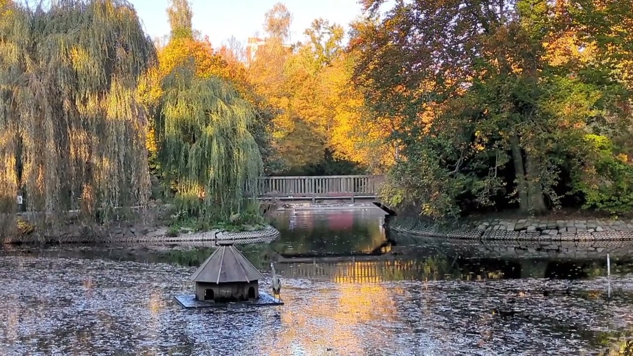 Stadtpark Steglitz - Berlin-Steglitz