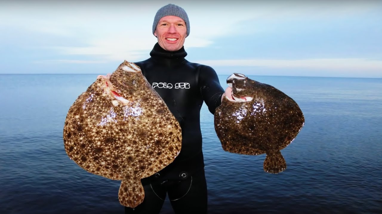 Spearfishing Turbot in the early spring, Denmark - UV-Jagt: Pighvar på Langeland