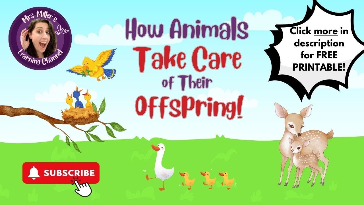 How Animals Take Care of Their Offspring : Lesson 10 - 1st Grade Science - Plants and Animals