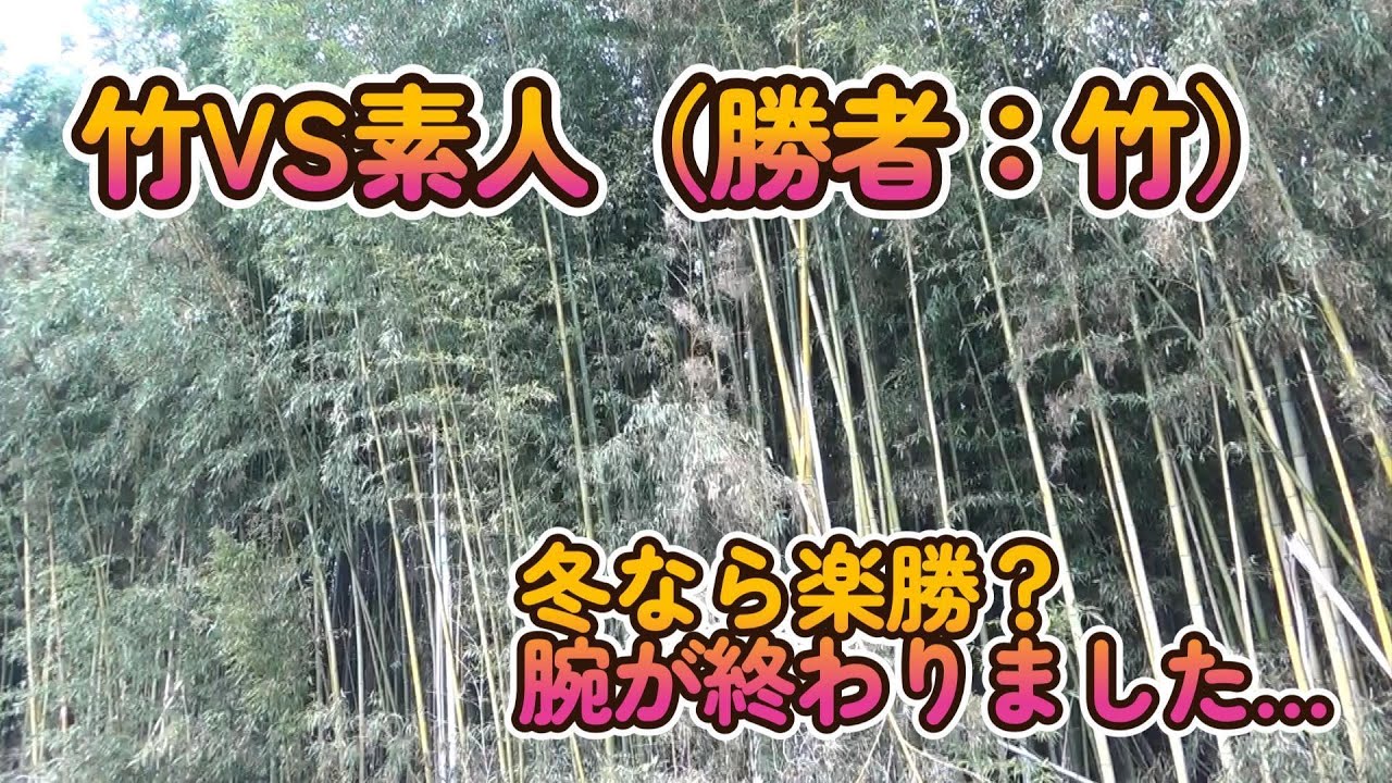 冬の竹やぶ伐採を素人がやってみた。　竹なめてました…