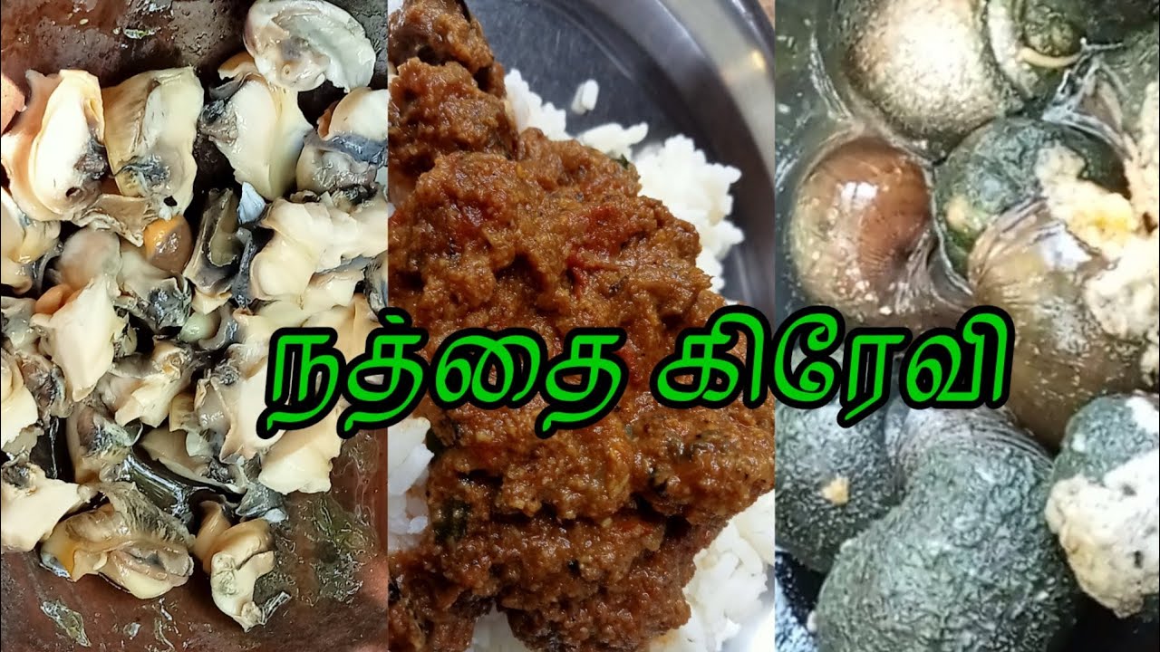 🤩நத்தை கிரேவி🤤Nathai gravy 😋Snail gravy 🐌 Nathai masala🤤 Healthy food|Nathai kulampu|In Tamil|