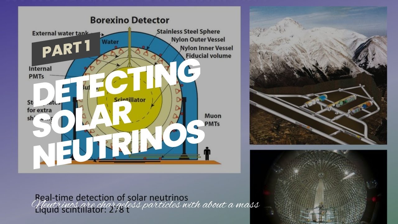 Detecting solar neutrinos with the Borexino experiment