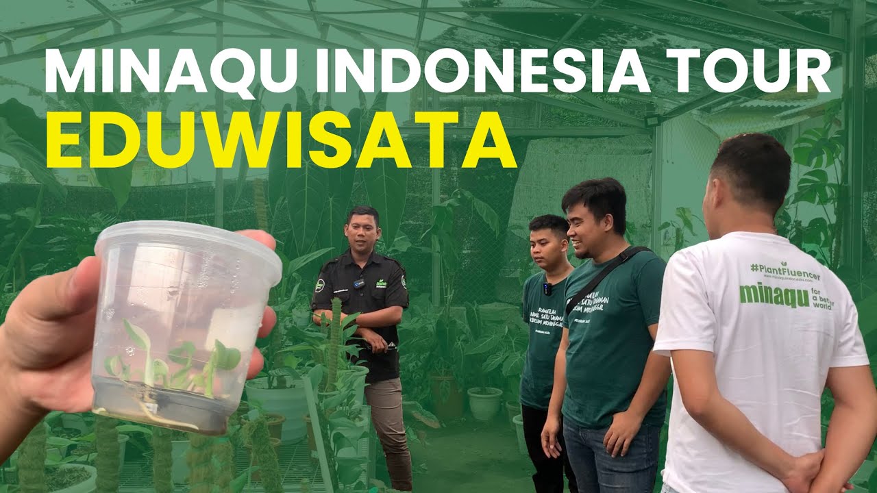 EDUWISATA AT MINAQU INDONESIA | BOGOR, INDONESIA EXPORT NURSERY PLANT TOUR
