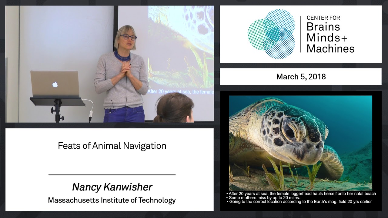 5.1 - Feats of Animal Navigation