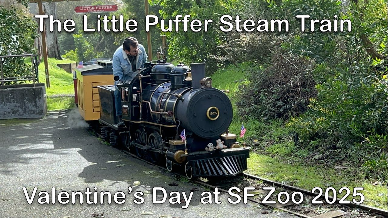 Little Puffer Steam Train at San Francisco Zoo Full Ride on Valentine’s Day 2025