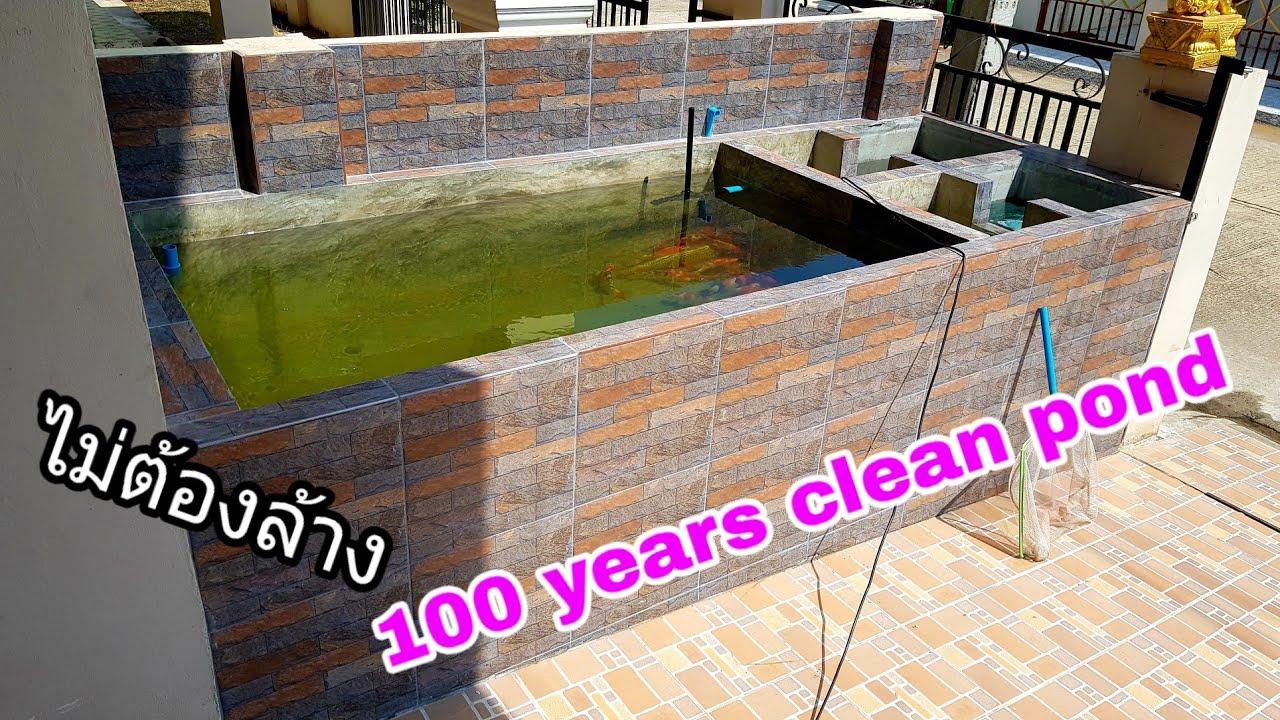 บ่อเลื้องปลาคราฟ บ่อกรองน้ำให้สะอาด ที่ทันสมัยที่สุดในโลก