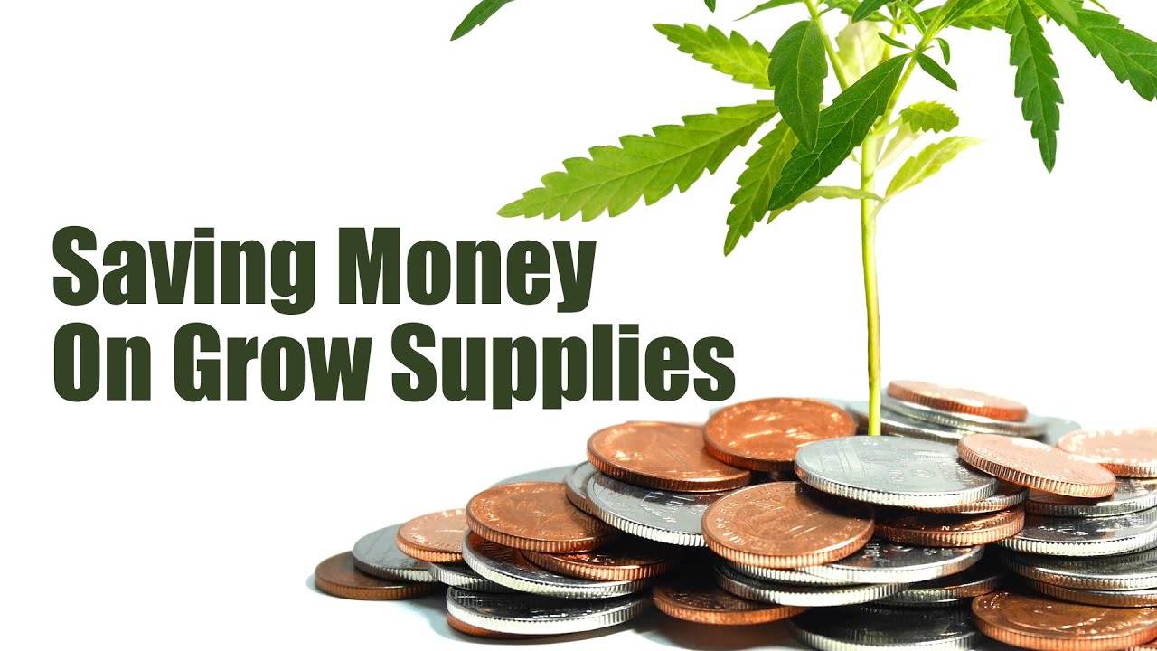 Saving Money on Grow Supplies