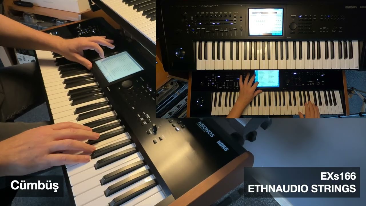Cümbüş Instruments ETHNAUDIO's EXs166 Ethnaudio Strings for KRONOS/Nautilus