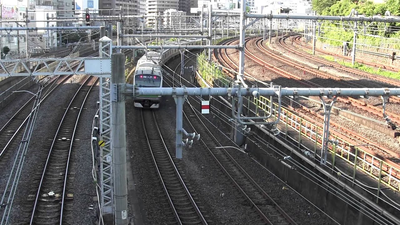【見る鉄】JR東日本特急車両