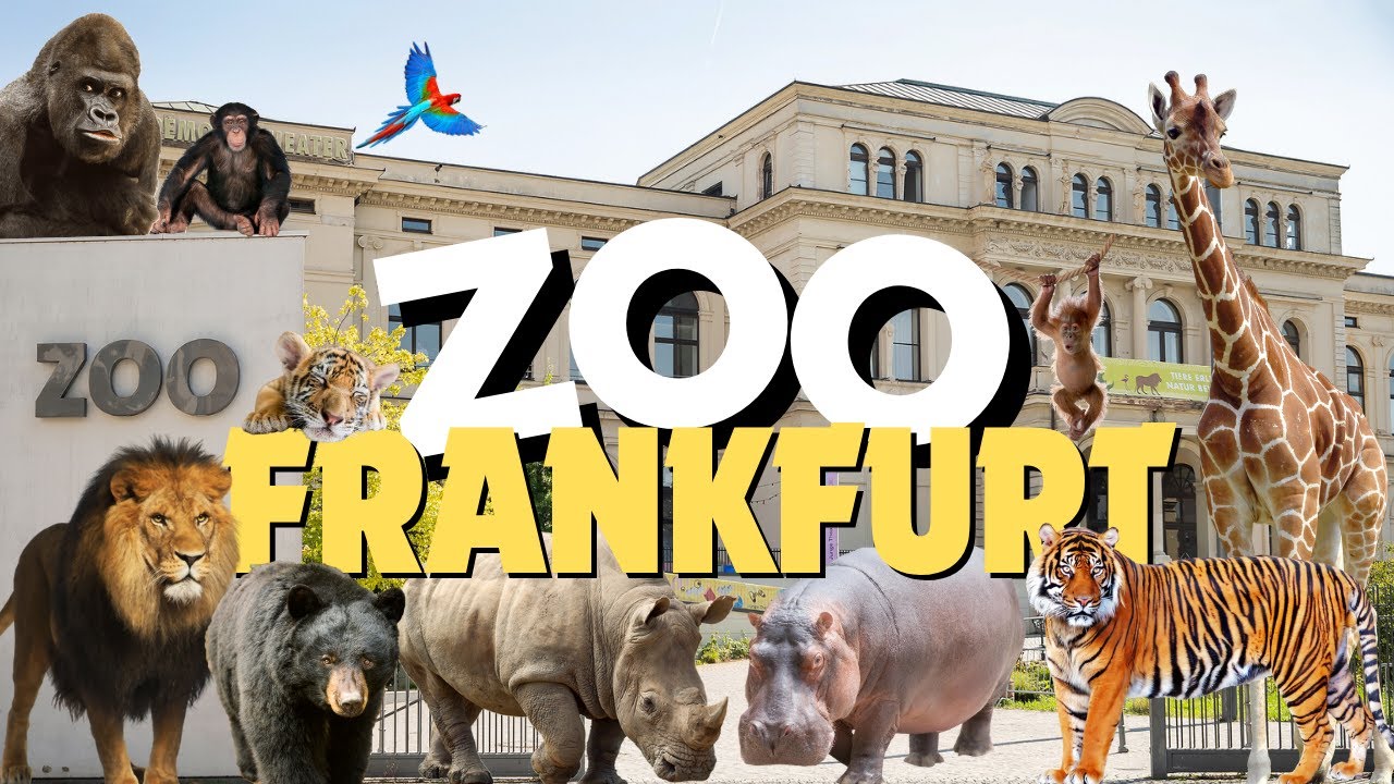 Zoo | Frankfurt am Main | Tiere | Tour | Zoologischer Garten | Ostend | Natur | DJI | 2025 | Stadt