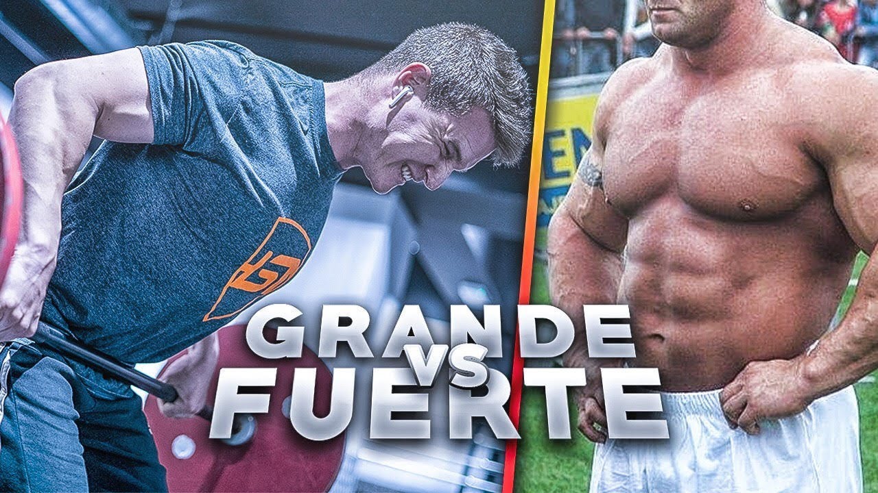 GRANDE VS FUERTE: DE QUÉ DEPENDE LA FUERZA