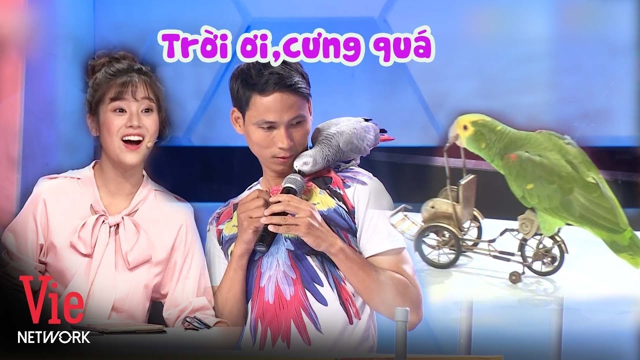 Phát cuồng trước những chú vẹt siêu thông minh giả tiếng động vật, đạp xích lô siêu cừ | Người Bí Ẩn