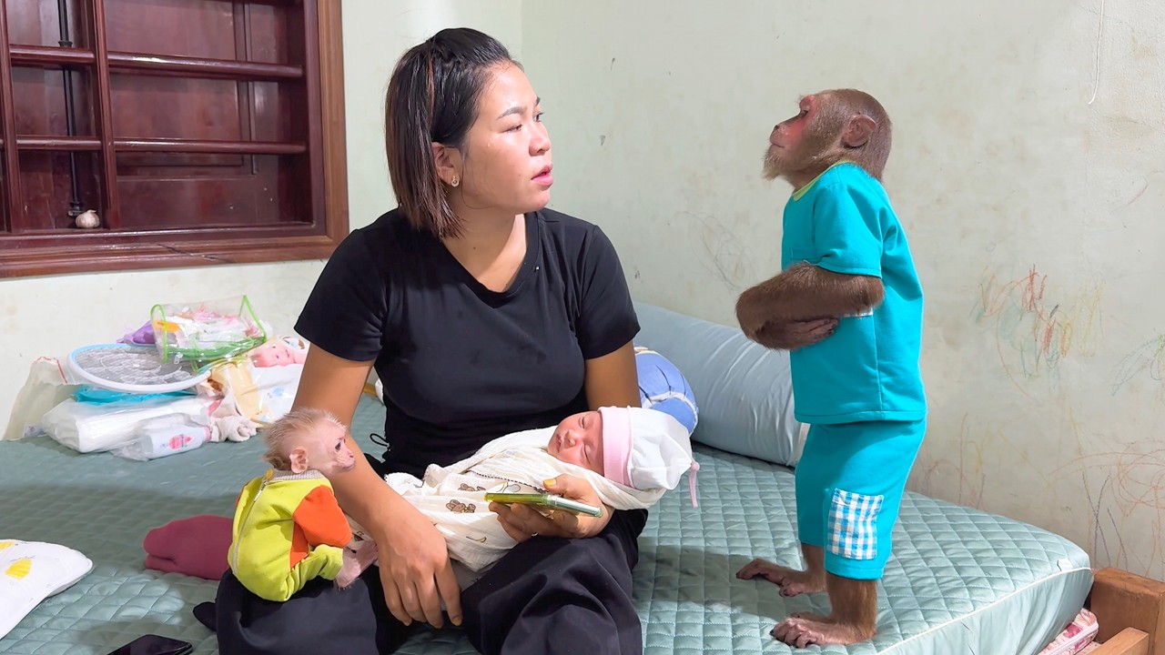 So Thoughtful !CUTIS Helps Mom Call Dad Home for Dinner While Mom Cares for the Baby
