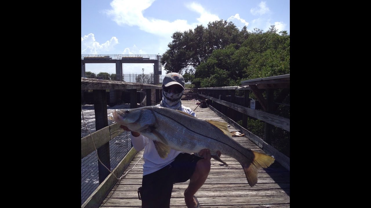 CRAZY, INSANE SNOOK FISHING, BIG SNOOK ON JIGS