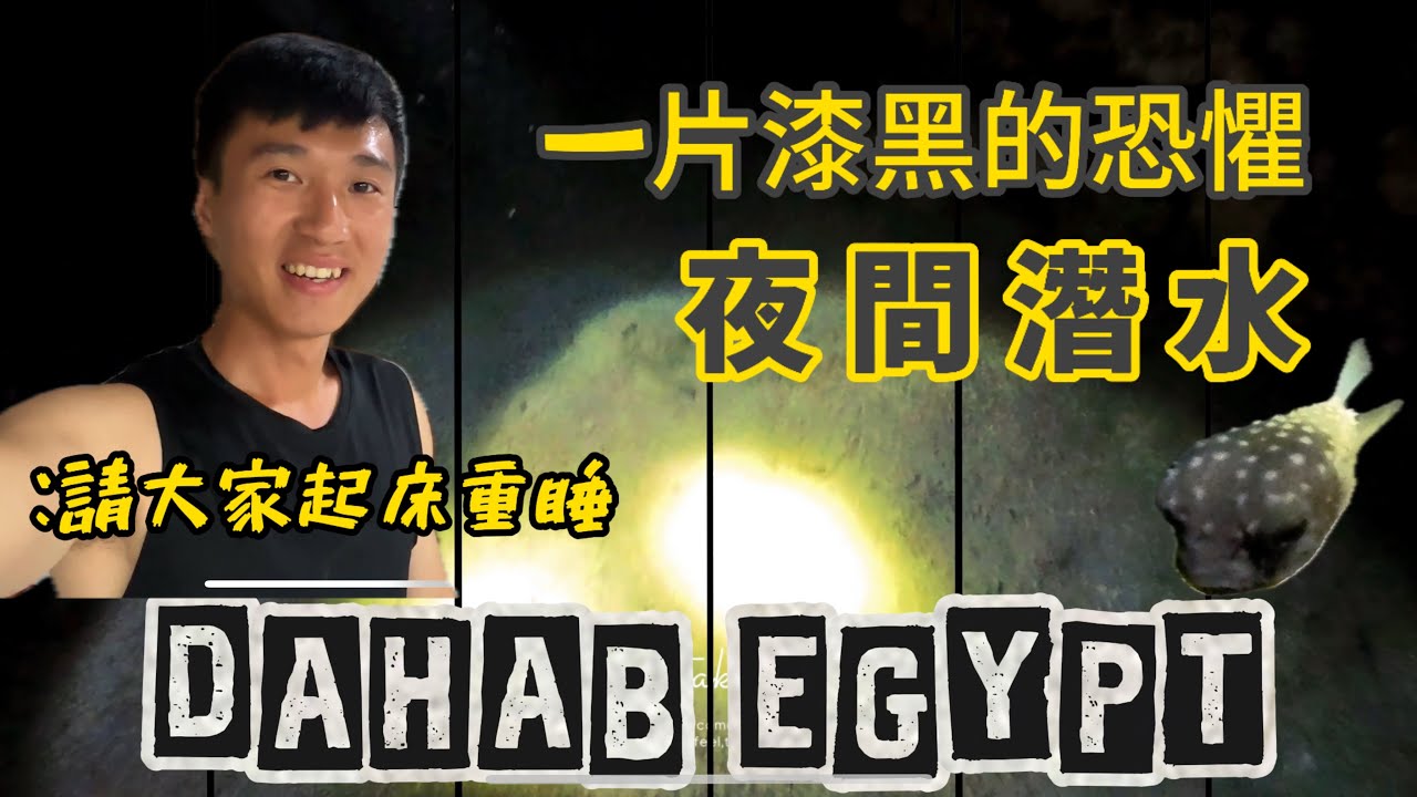 [埃及潛水日記ep. 5 ] 夜間潛水初體驗！究竟能遇到什麼奇特生物？ #埃及旅遊 #dahab #水肺 #scubadiving #nightdive #egypt 