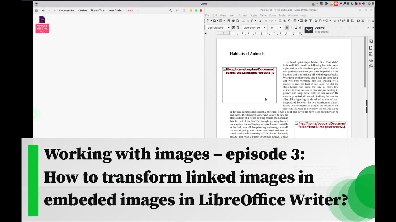 Working with images – episode 3: How to transform linked images in embeded images in LO Writer?