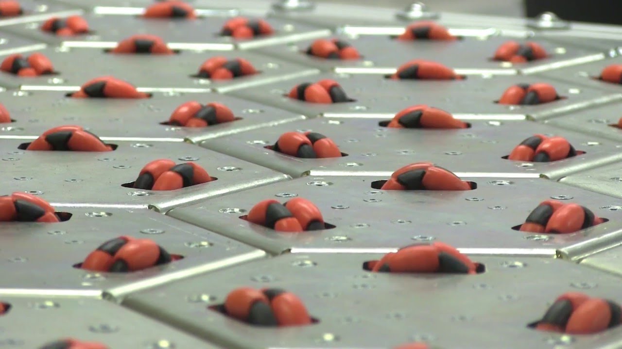 celluveyor - Omnidirectional Cellular Conveyor