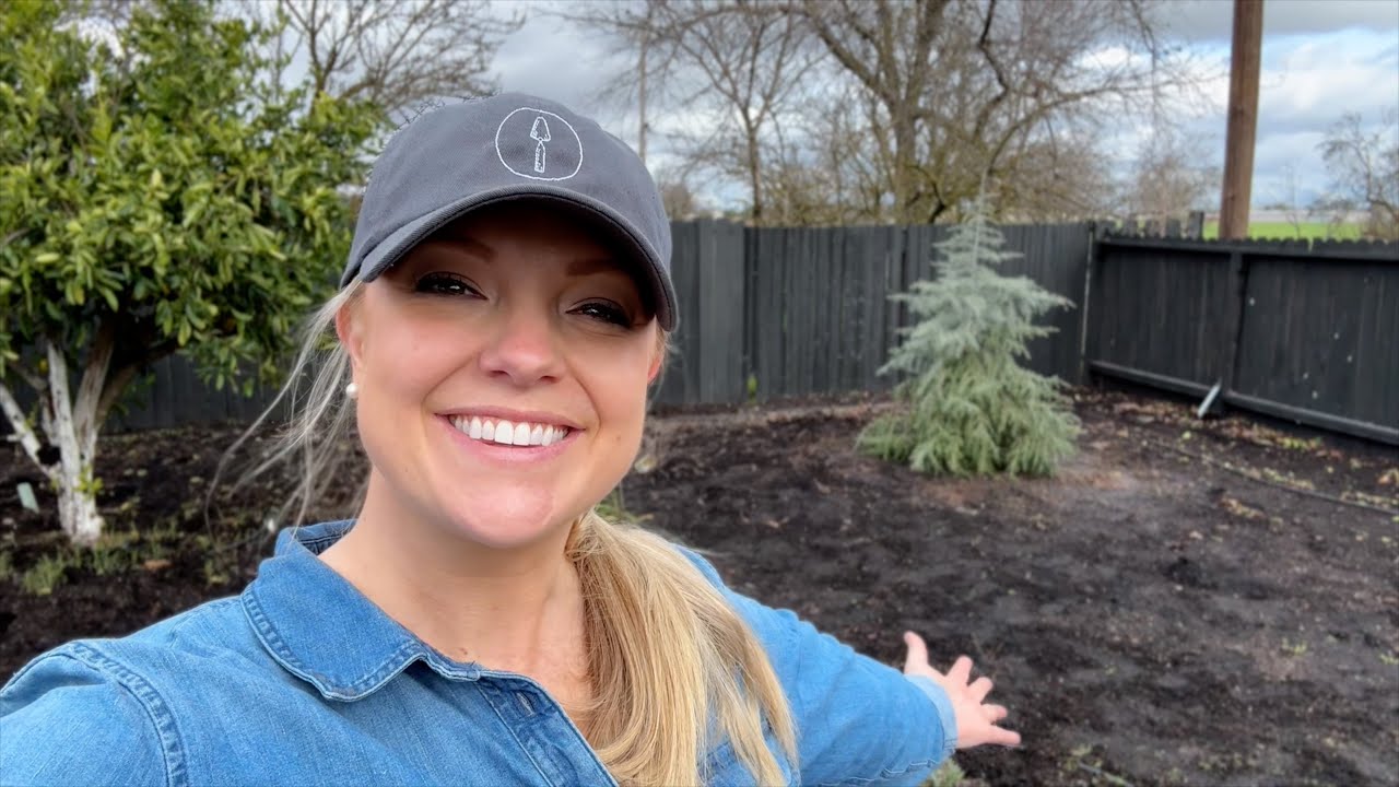 Planting My VERY OWN Deodar Cedar in the Orchard! 🌲 I Have LOVED This Specimen Tree for Years!