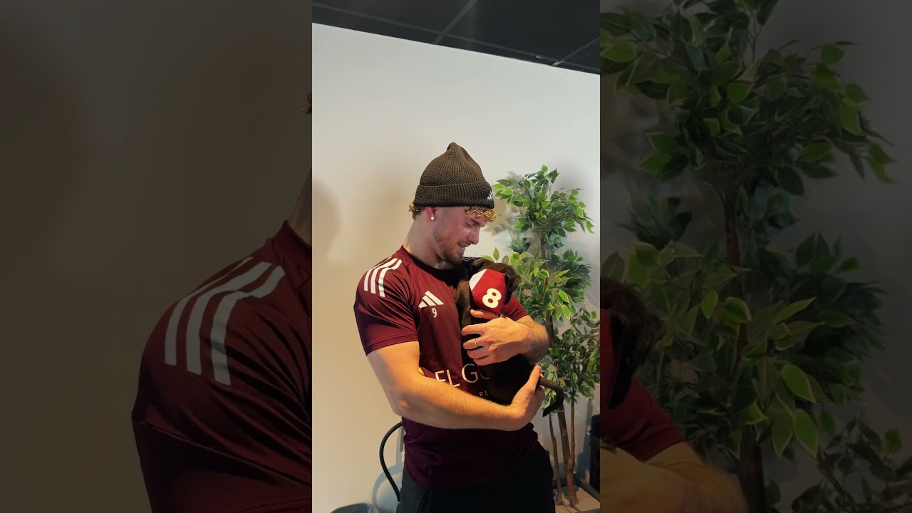 The most wholesome video on your timeline today 😌