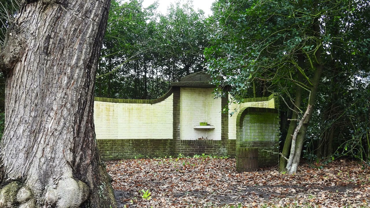 Jaaps beeld week09 2026